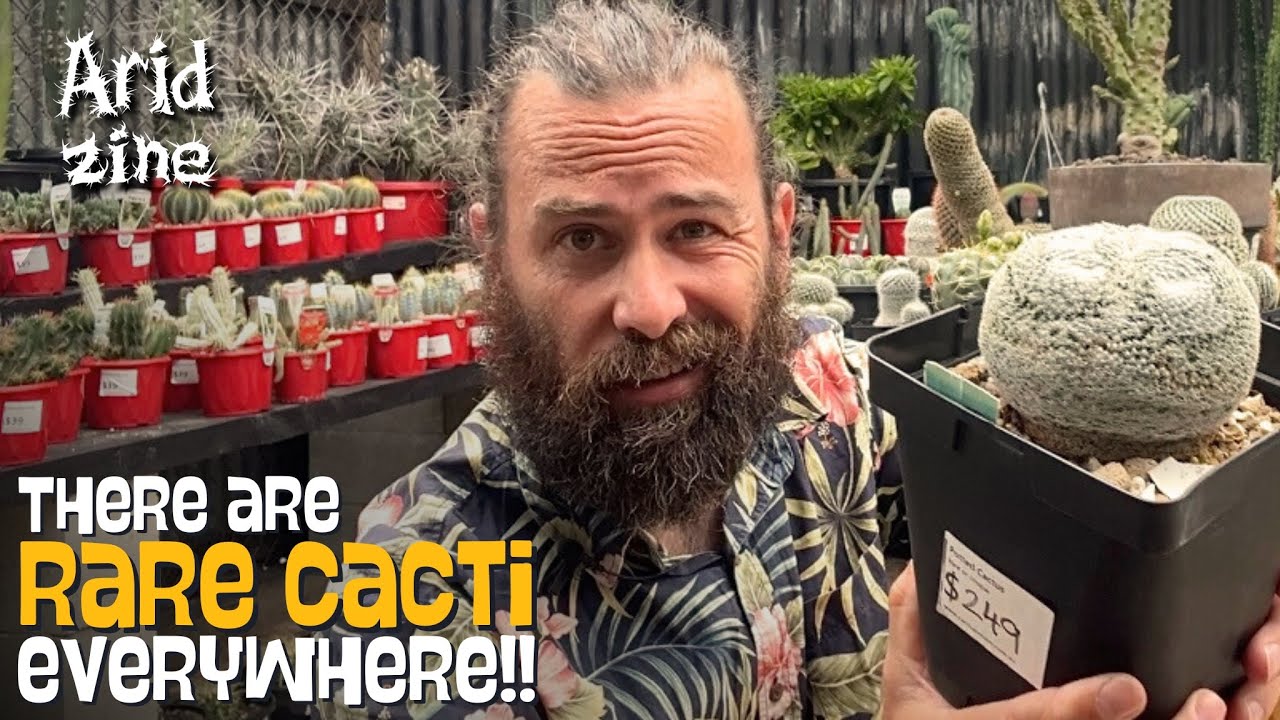 Давайте отправимся за редкими растениями в Cactus Vision в Сиднее!