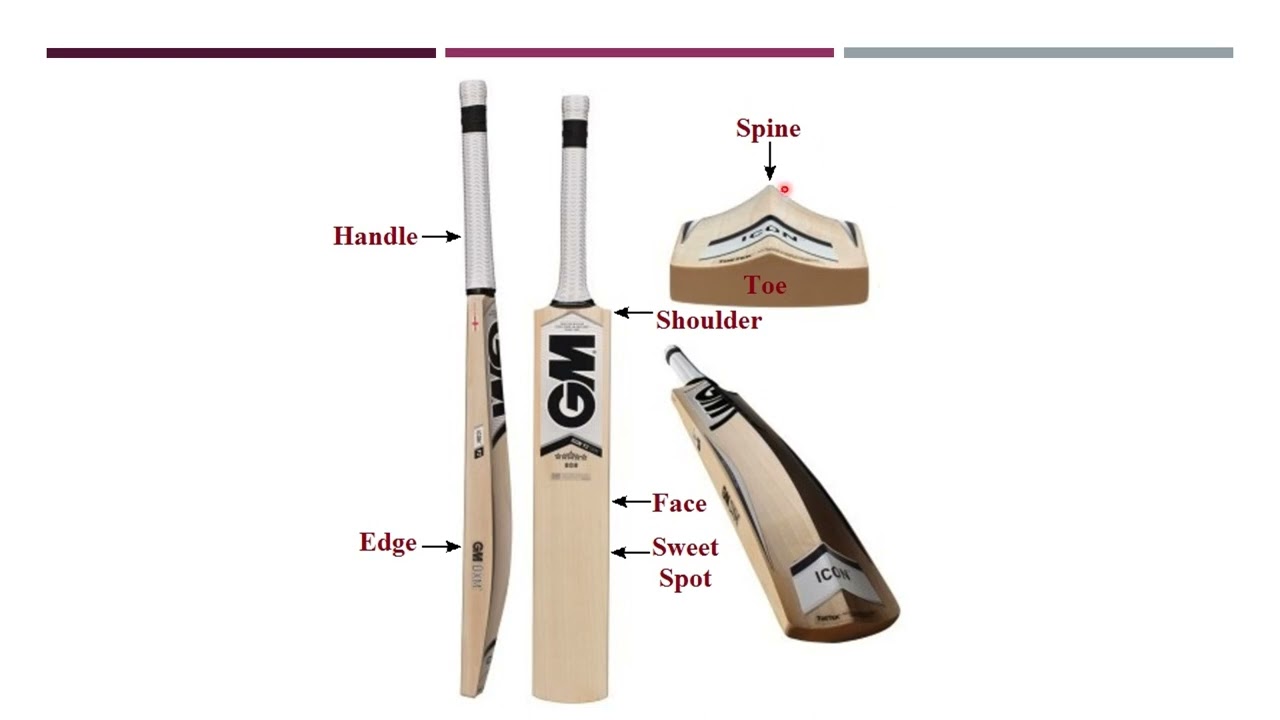 Parts of a cricket bat