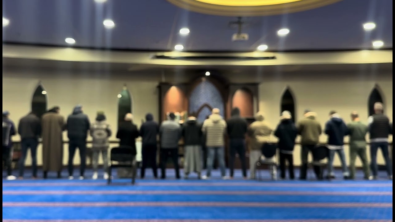 الإنسان