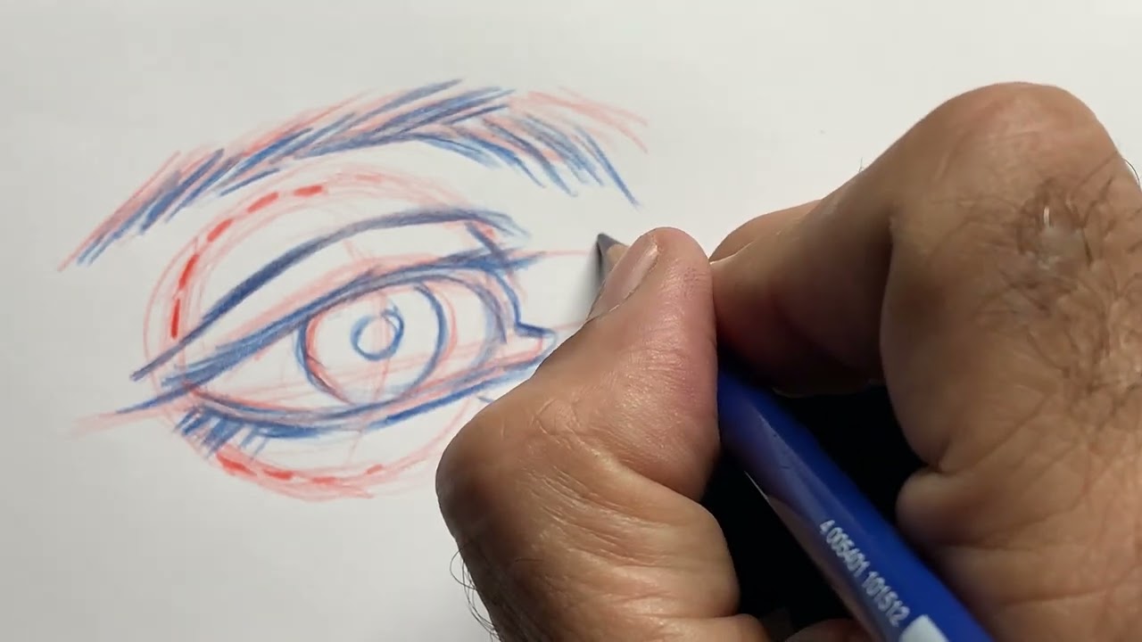 TIPS 6 Los Ojos ( estructura básica )