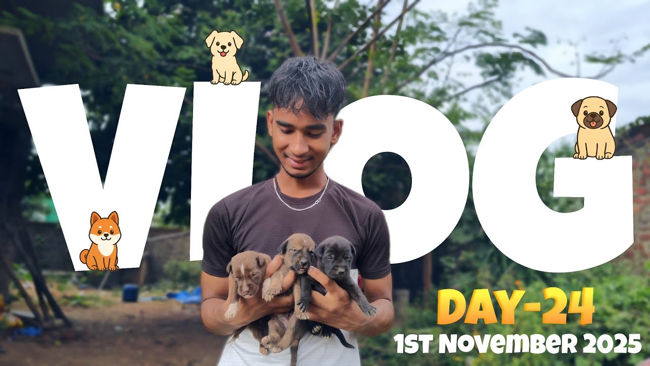 We Rescue These Puppies | Day-24 | Daily Vlog | 365 Days Challenge