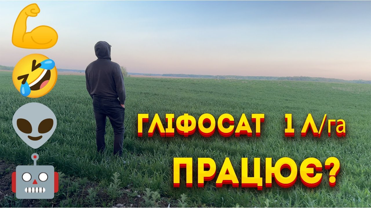 Результат внесення гербіцидів на озимій, гліфосат 1 л гектар. Чи працює така норма?50/100 літрів