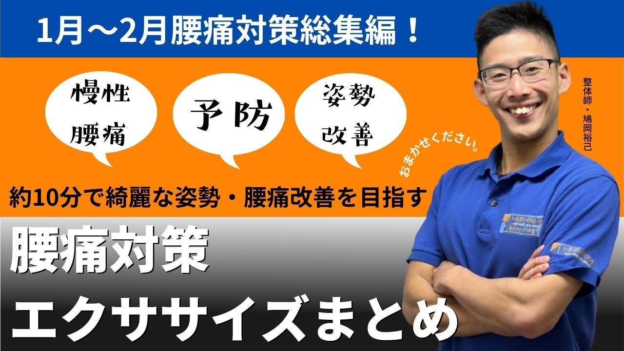 【およそ10分で行う！】腰痛対策エクササイズ総集編