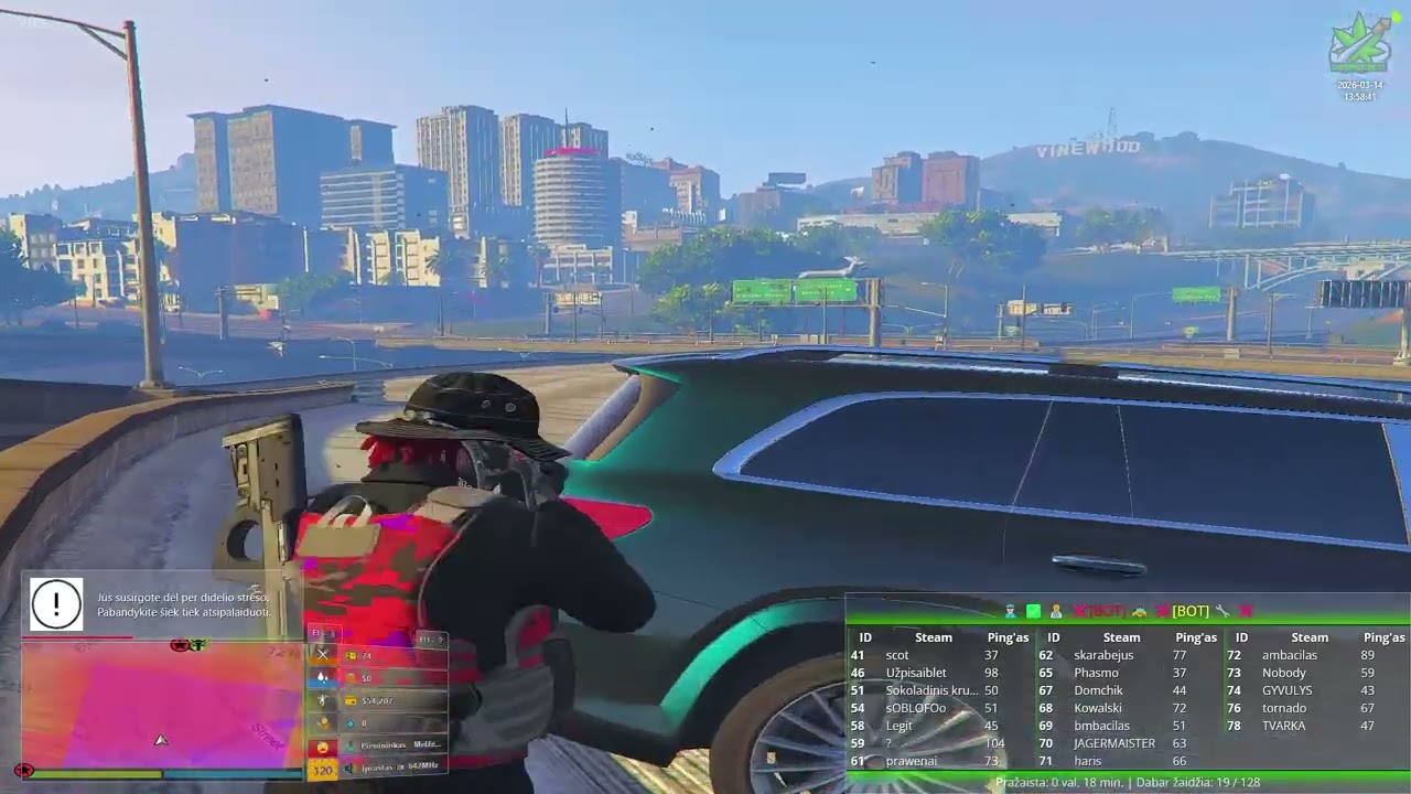 GYVULYS I DISTINCTIVE.LT RP