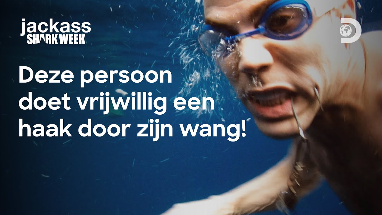 Jackass lokt de haaien op een open zee! - Shark Week