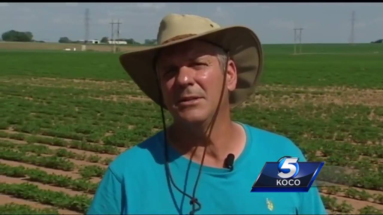 Wild Grady County pursuit caught on camera, driver still on the run