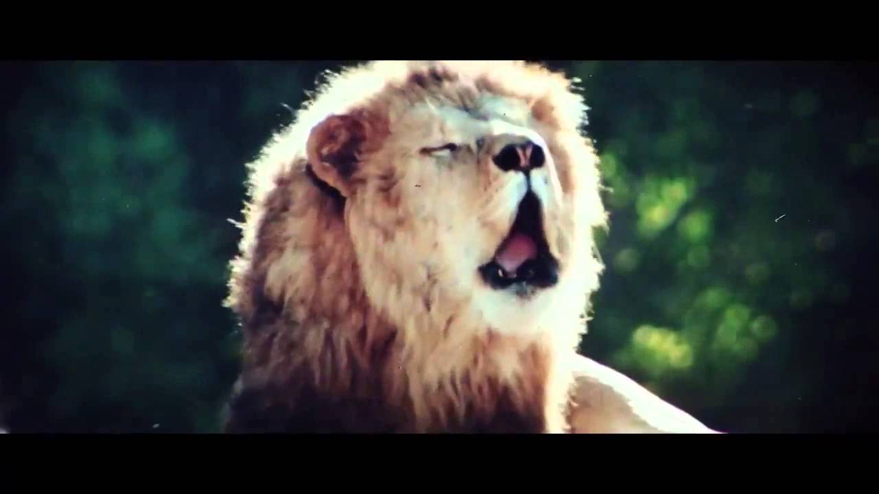 ROAR Re Release TRAILER 1981