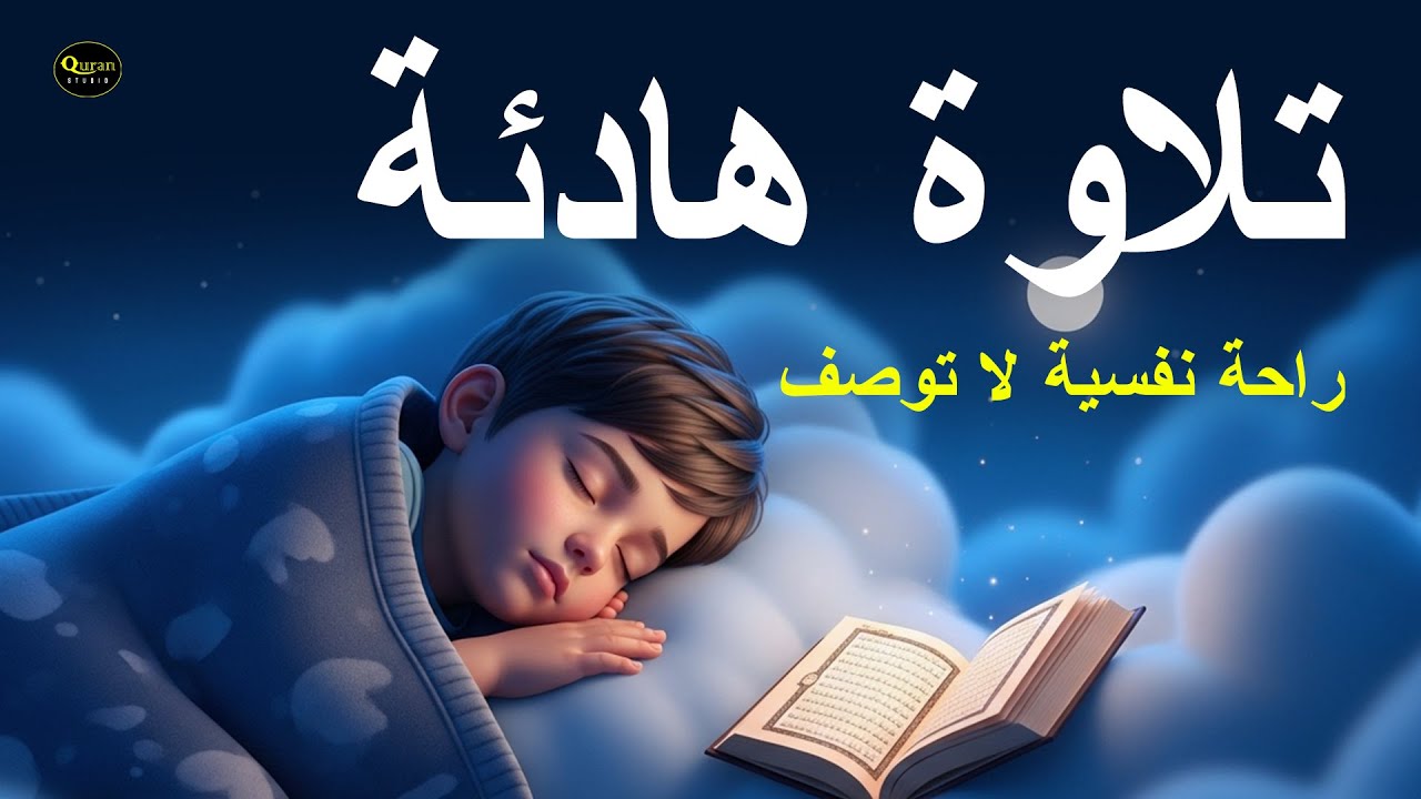 قران كريم بصوت جميل جدا قبل النوم - القارئ محمود خير الله Quran For Sleep