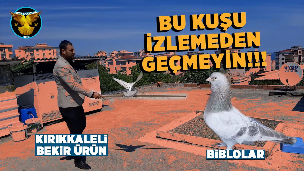 KUŞ SEYRİNE DAVET EDİLDİK / KIRIKKALELİ BEKİR ÜRÜN