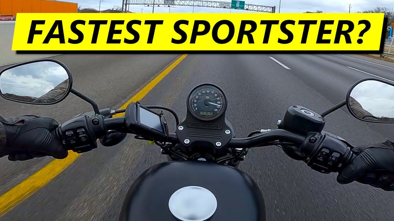 How FAST is our 1275cc Sportster (DYNO TUNED!)