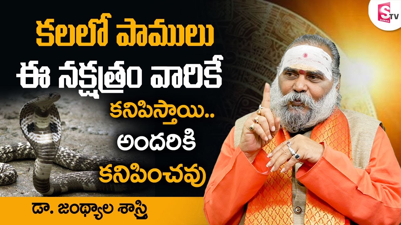 కలలో పాములు వీళ్లకి మాత్రమే కనిపిస్తాయి || What Does it Mean When You Dream About Snakes || SS
