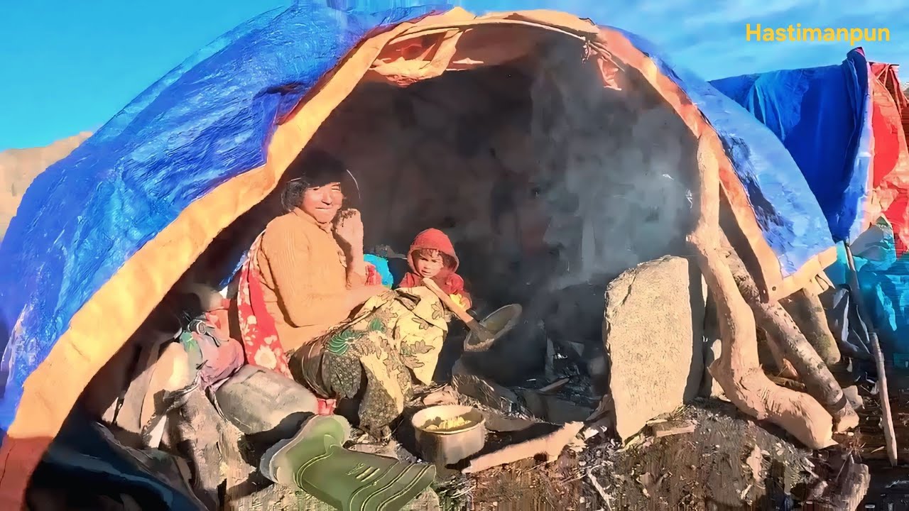 High Altitude Camping to Alive ||CORDYCEPS: Expensive Mushroom in the World 