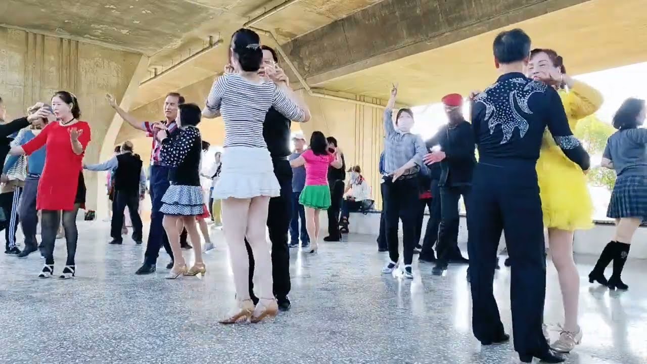 2026/2/22 台中龍井竹坑南寮登山步道#社交舞 #倫巴#現場演奏 