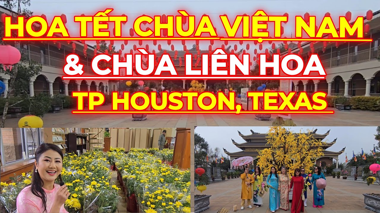 Hoa Tết Rất Nhiều Ở Chùa Việt Nam & Chùa Liên Hoa...