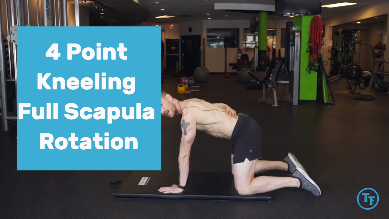 How to do a 4 Point Kneeling Full Scapula Rotation