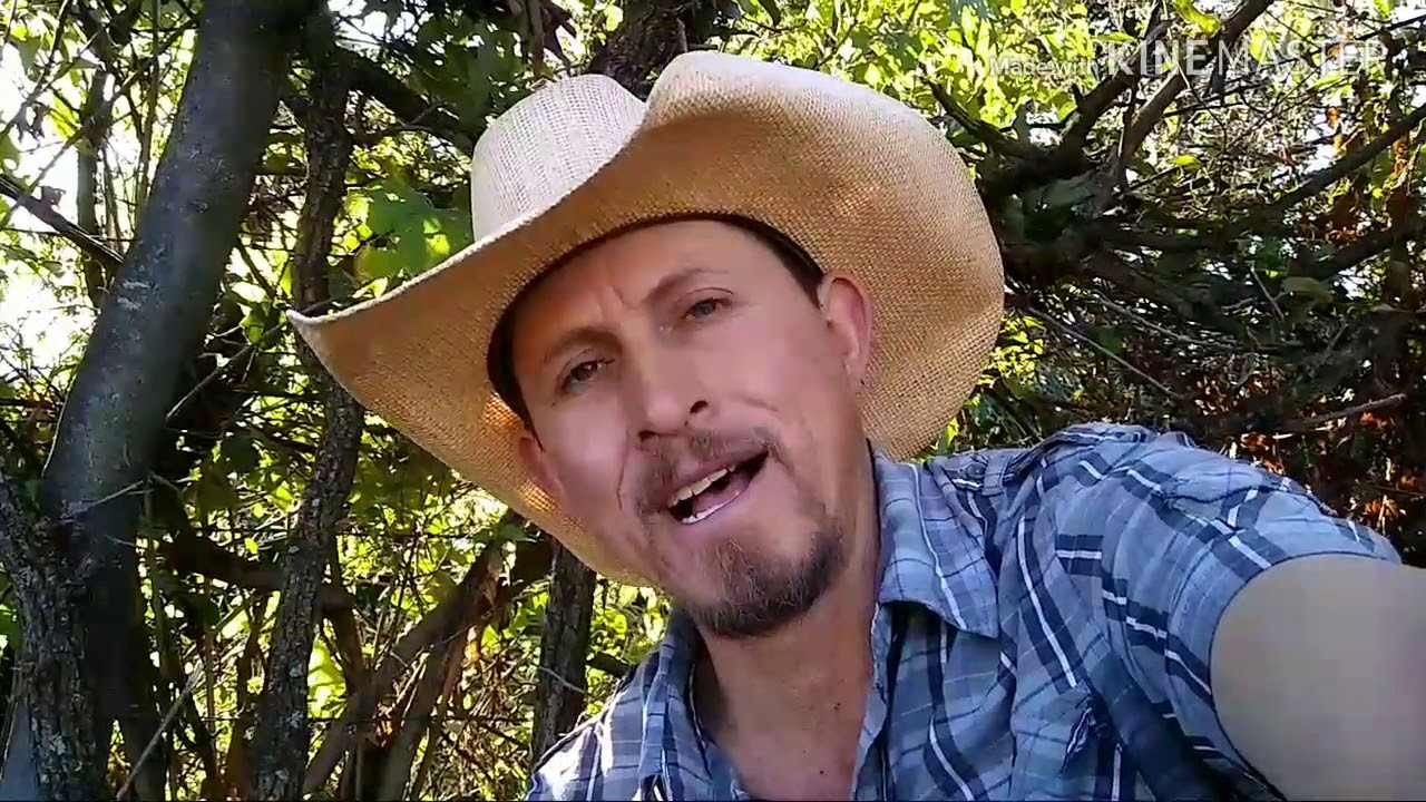 Desarrollo de becerros de 150 kilos