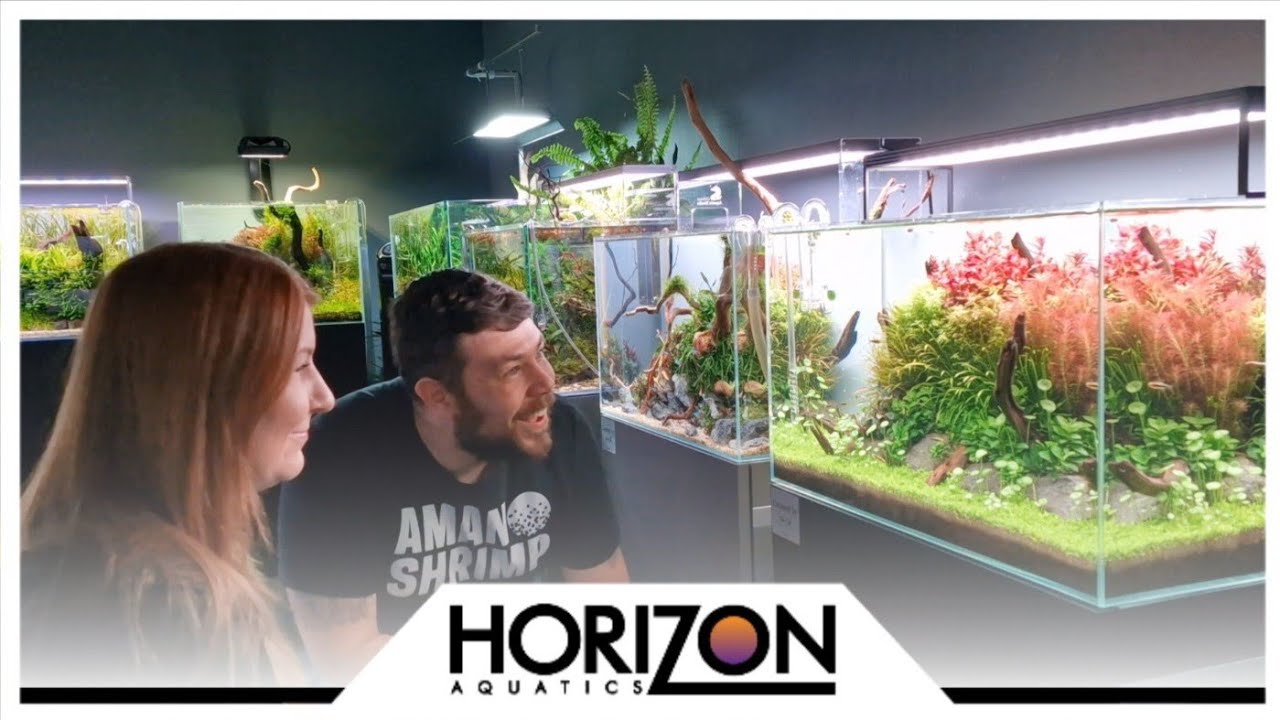 Island Aquascape КАК СОЗДАТЬ этот 60-сантиметровый аквариум с растениями