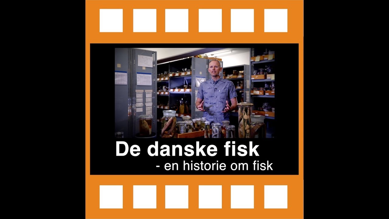 8 Temafilm:  De Danske Fisk