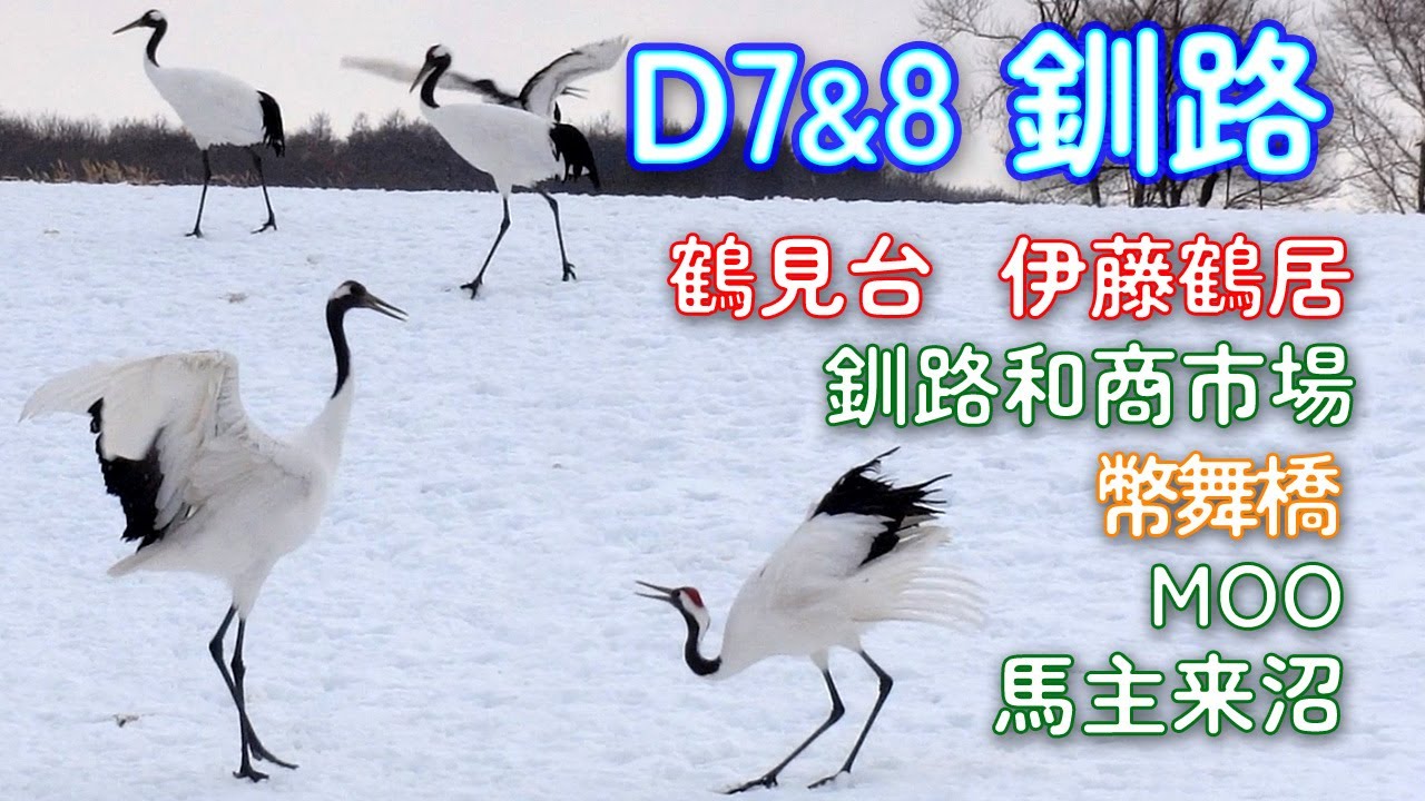 ﹝3萬5玩北海道14天！？小資這樣玩﹞D7 & 8 釧路