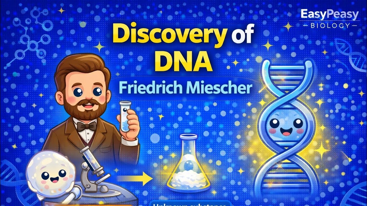 Discovery of DNA &ndash; Friedrich Miescher Explained Simply