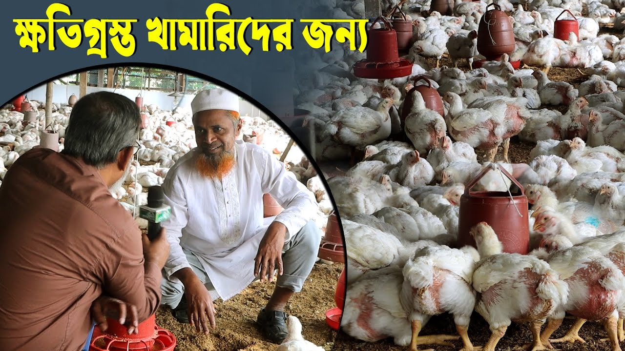 1111-ব্রয়লার মুরগী খামারীদের জন্য নতুন খবর- র.ই মানিক চিত্রপুরী। R.I.Manik.Chitrapuri Krishichitra