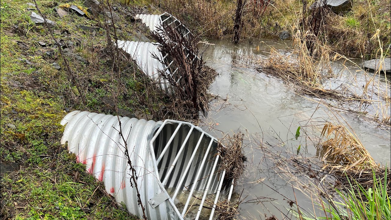 Прочистка тройной водопропускной трубы в водно-болотных угодьях.