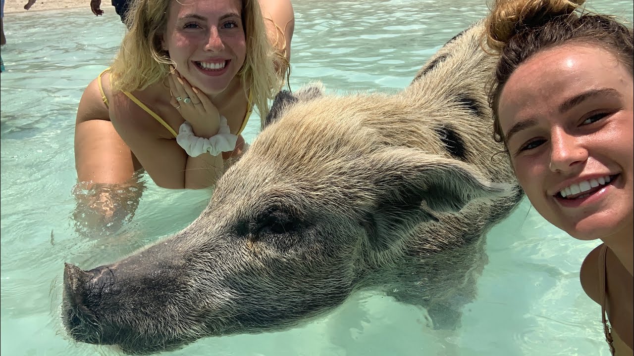 WE WENT TO THE PIG BEACH -  48 HOURS IN THE BAHAMAS