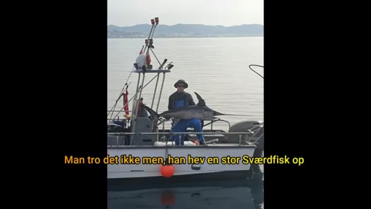 Togt 2022-2 Stor fangst og flot vandretur langs Middelhavet. Vi sejler fra Porqurolle til Cannes.