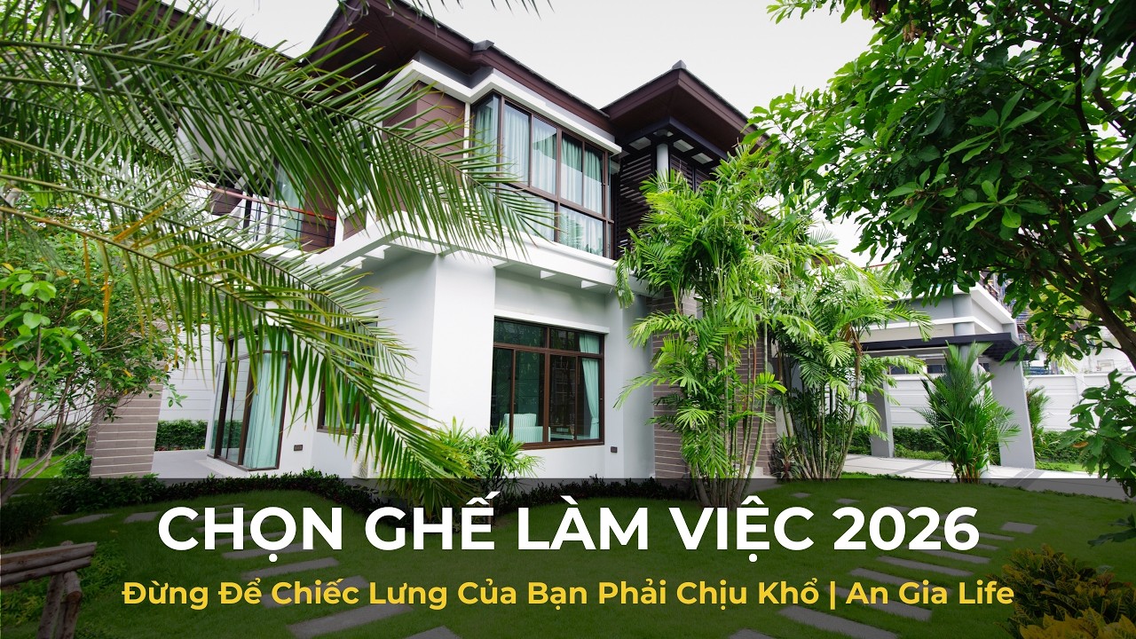 Chọn Ghế Làm Việc 2026: Đừng Để Chiếc Lưng Của Bạn Phải Chịu Khổ | An Gia Life