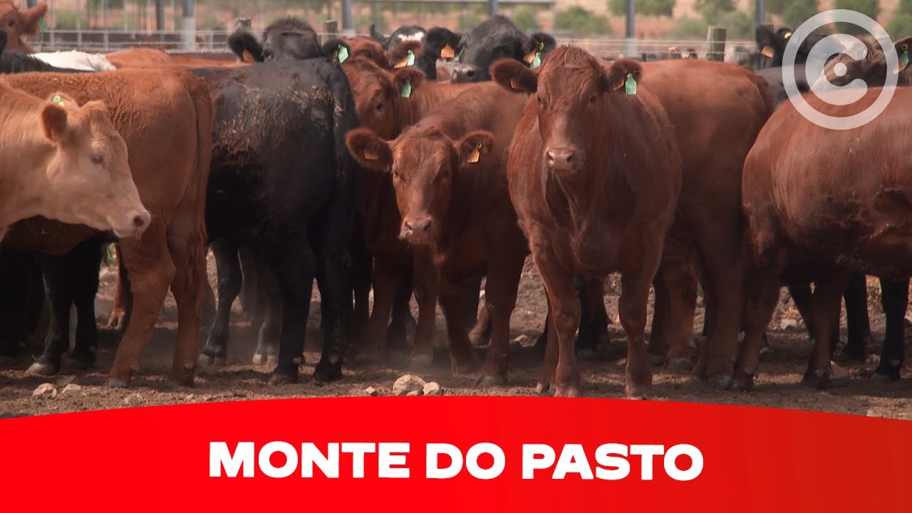 Clube de Produtores Continente | Monte do Pasto