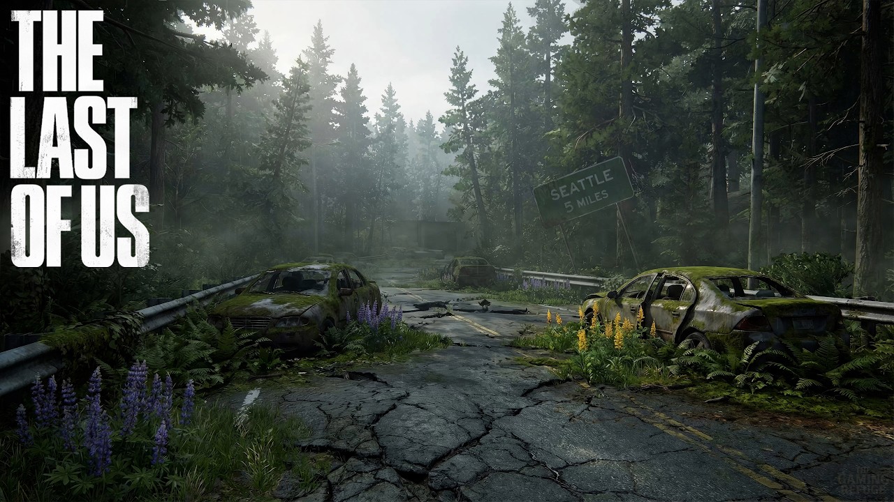 The Last of Us Ambience 🌿 | Abandoned Road to Seattle | Heavy Rain & Nature