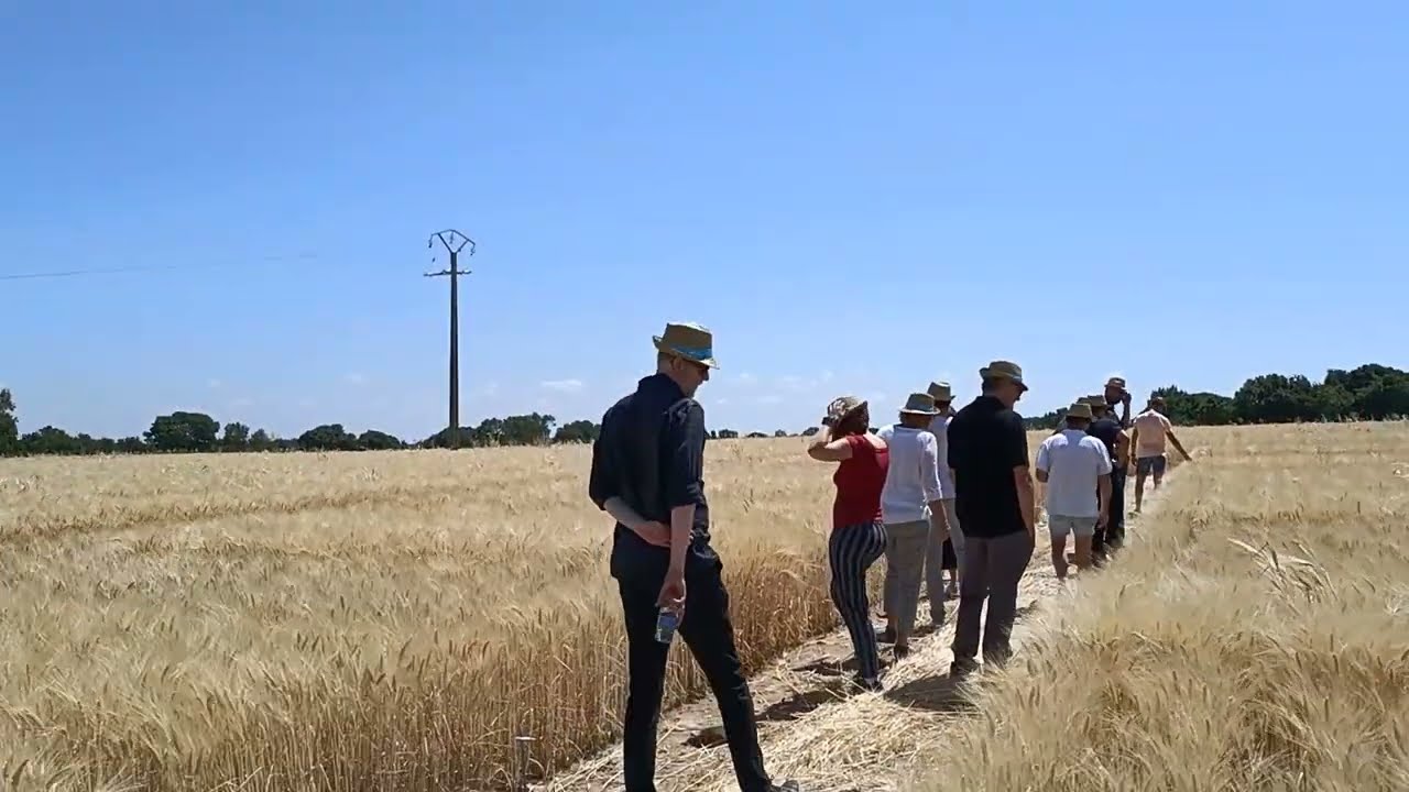 Journée de démonstration sur les fertilisants bio-sourcés