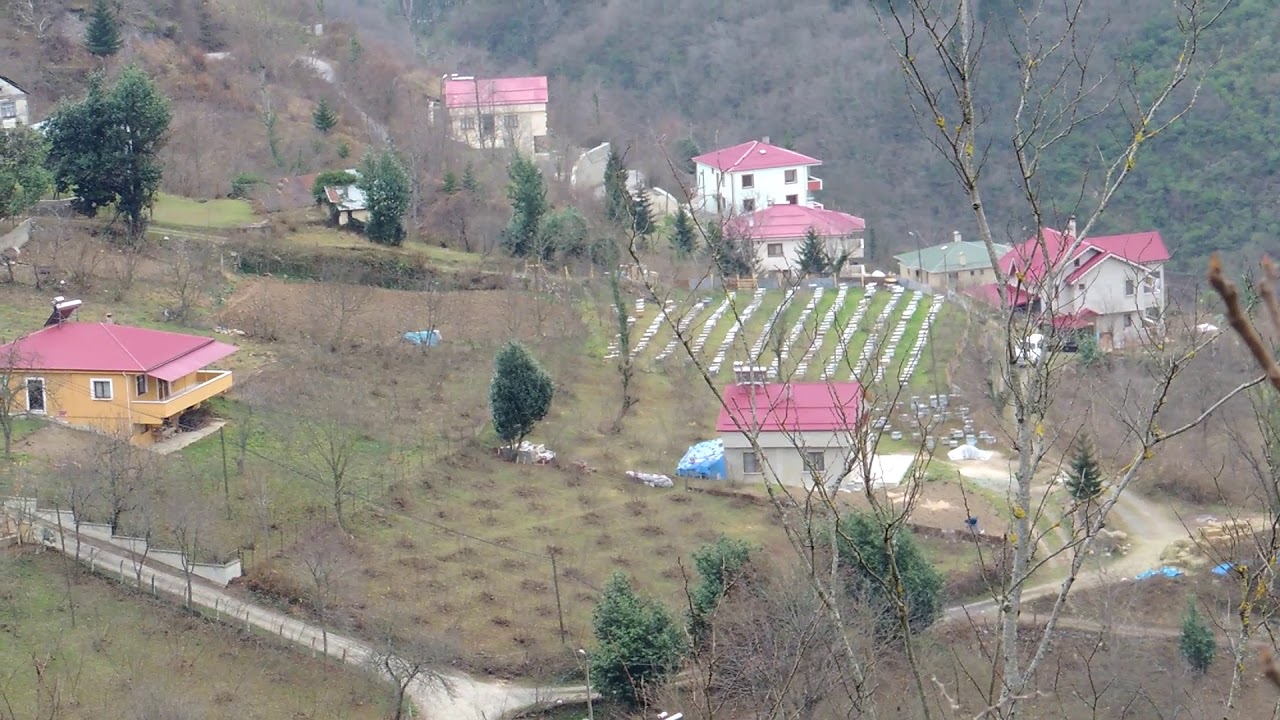 TRABZON MAÇKA LİVERA İNCİRLİ MAHALLESİ