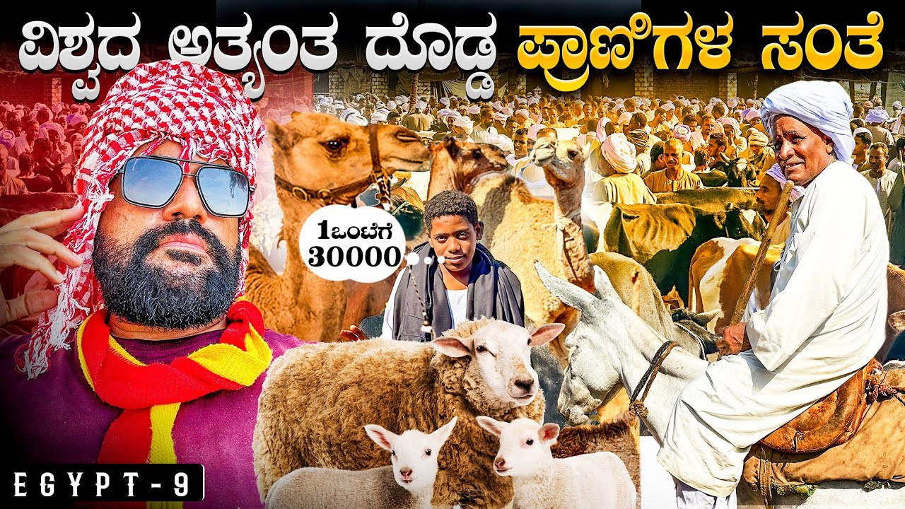 ಒಂದು ಲಕ್ಷ ಪ್ರಾಣಿಗಳನ್ನು ಅರ್ಧ ದಿನದಲ್ಲಿ ಮಾರುವ ಜಾಗ 😳The Biggest Animal market in the World ENG SUBS