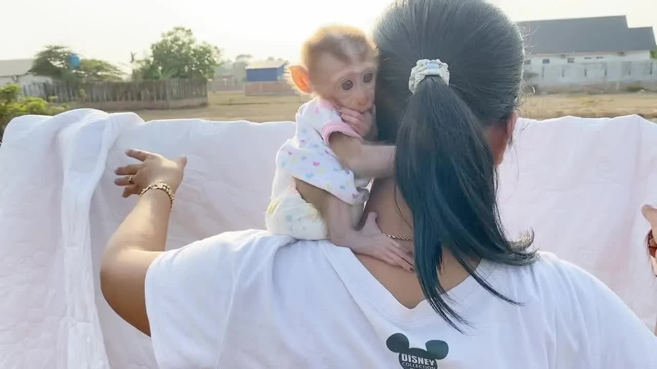 Appealing BB DAM Sit On Mom Shoulder Accompany Dry Cloths