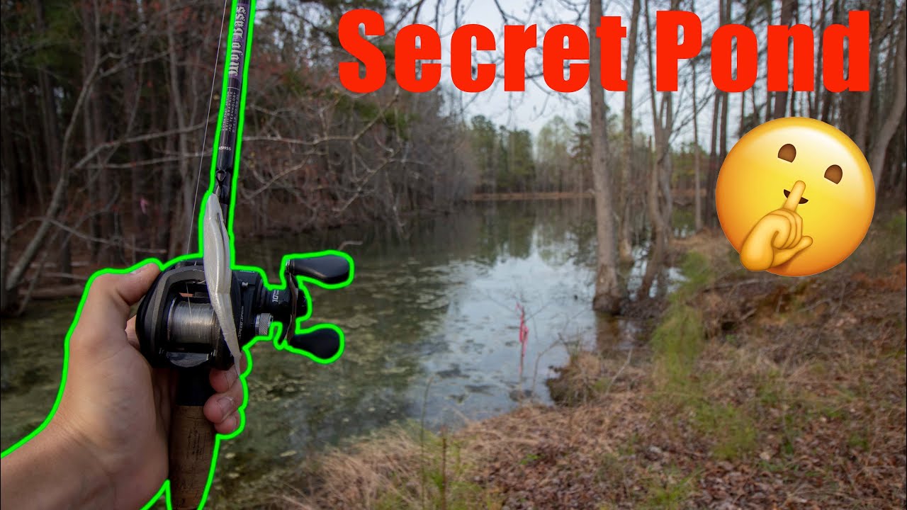 Bass Fishing In A Secret Pond