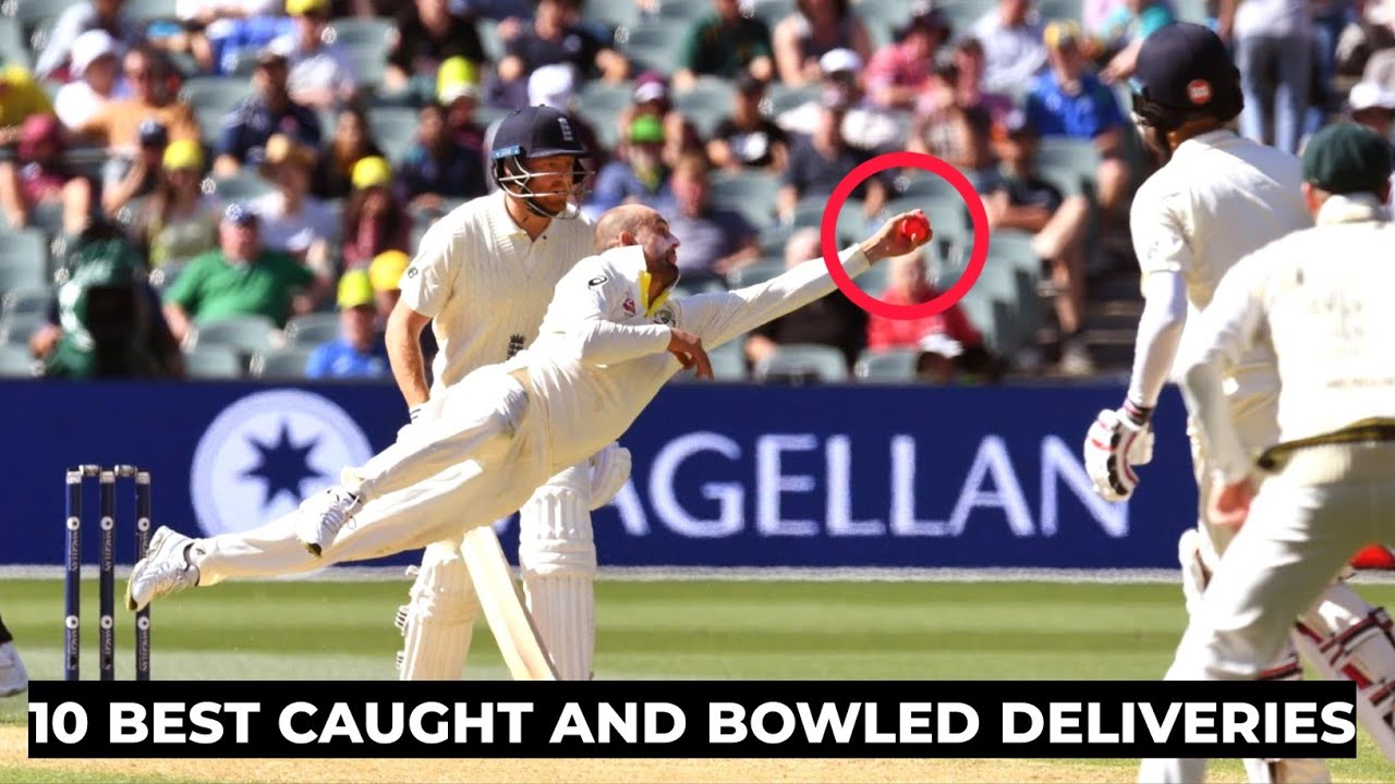 10 best caught and bowled deliveries in cricket || Eagle cricket