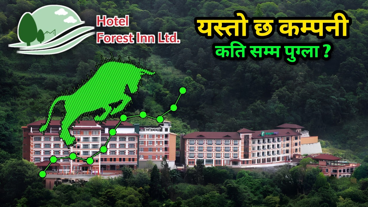 Hotel forest inn ipo कति हुन्छ नाफाँ 💲 कति पुग्छ 💹 कहिले बच्ने hotel forest inn ipo analysis 