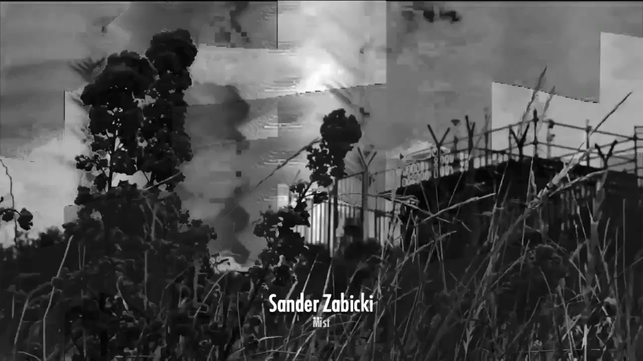 Sander Zabicki - Mist (Trapez 271)