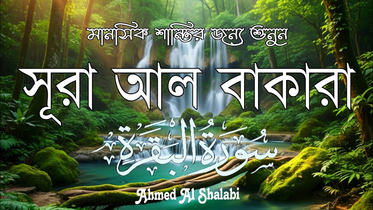 ঘরে শান্তি, নিরাপত্তা ও বরকতের জন্য শুনুন সূরা আল-বাকারা | Quran Recitation by ahmed al shalabi