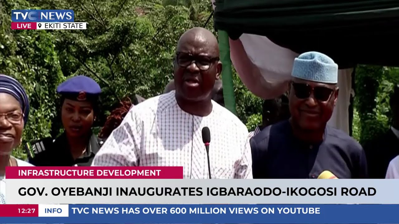 I Owe No One an Apology for Supporting Gov Oyebanji - Fayose