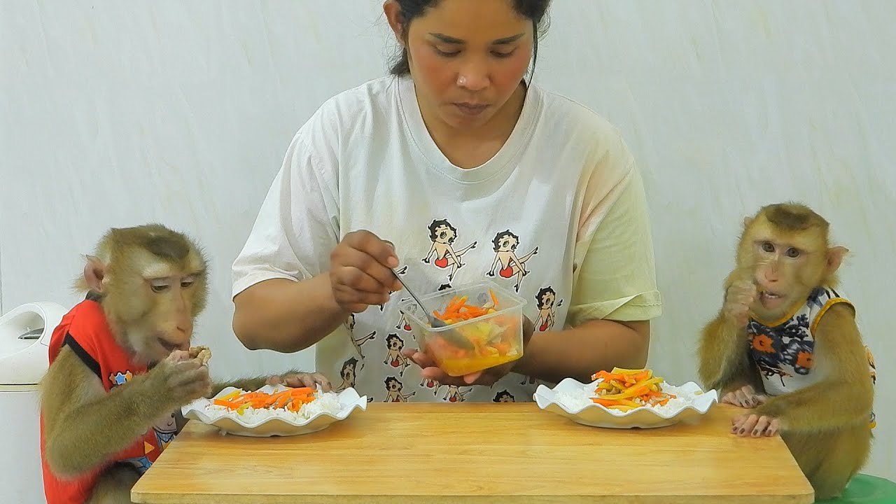 Favorite Food!! Little KAKO And OLLY Eating Rice With Stir Fried Vegetables