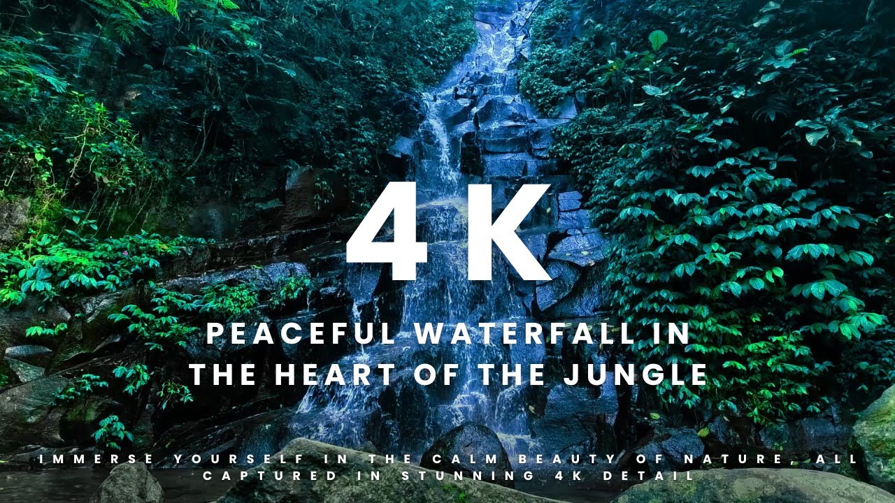 Peaceful Waterfall in the Heart of the Jungle 💧 | Relaxing Nature Sounds in 4K | No Copyright Video