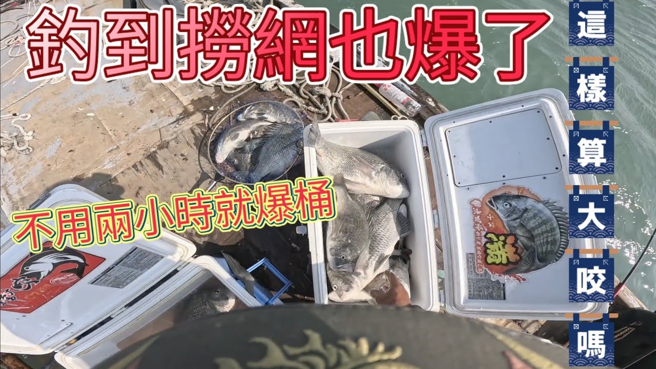 大牛一直來，早上8點就爆桶啦！中午12點再爆第二桶