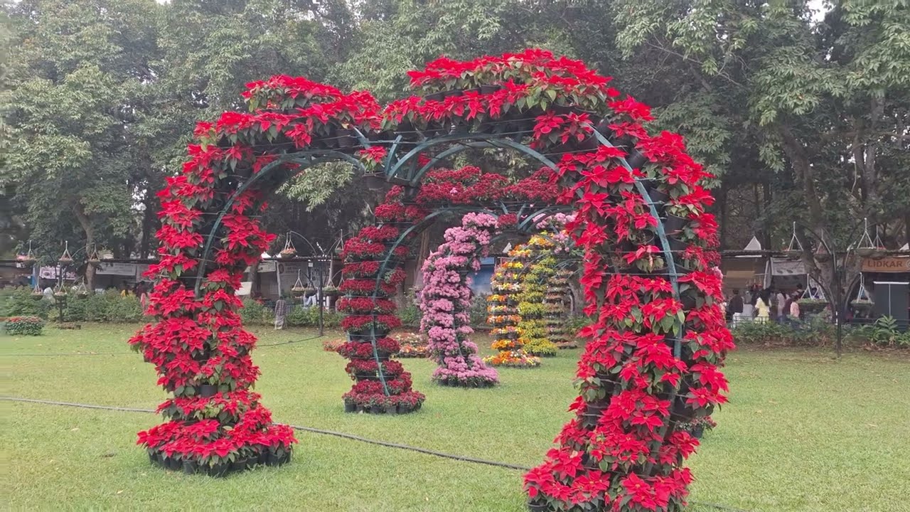 Lalbagh Botanical Garden అందాలు చాలా beautiful ఉంది 🍃 🍂 ☘️ 
