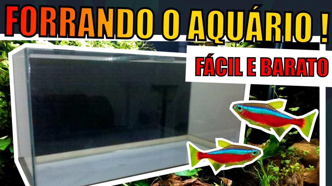 🔴COMO FORRAR O FUNDO DO AQUÁRIO BARATO E FÁCIL |Mr. Betta|