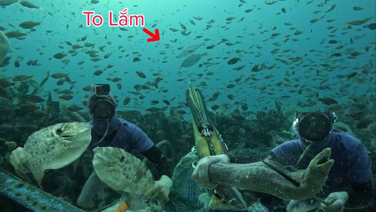 Lặn Theo Những Chiếc Tàu Chìm Ở Độ Sâu 21 Mét Bắt Toàn Cá To | Tập 27