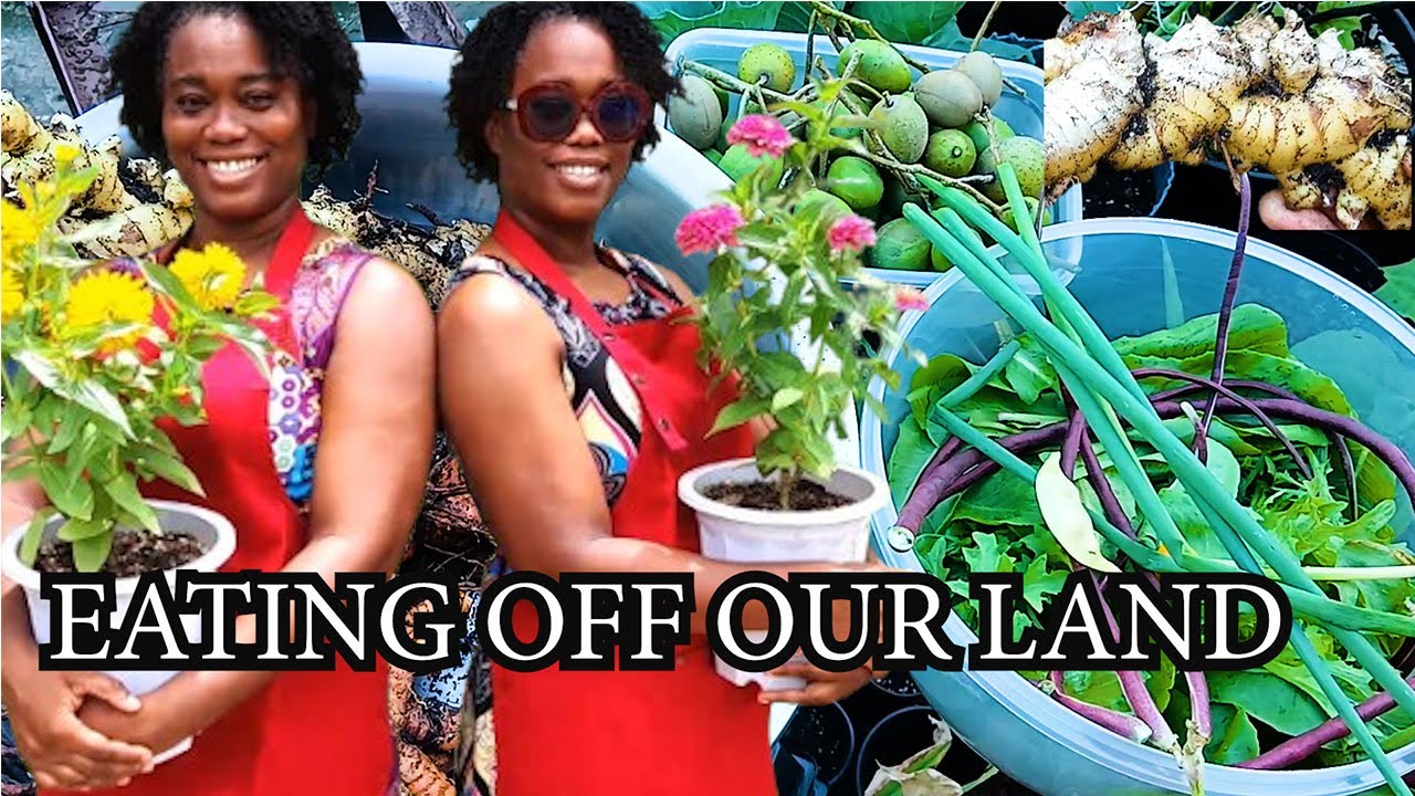 Season 4 EP 9: Living Off The Land In The City In Our 40s | With A 9-5