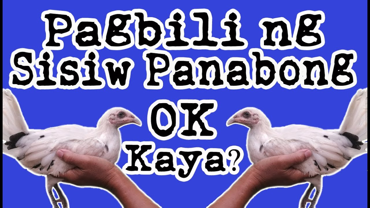 Pagbili ng Sisiw , Ok Kaya?