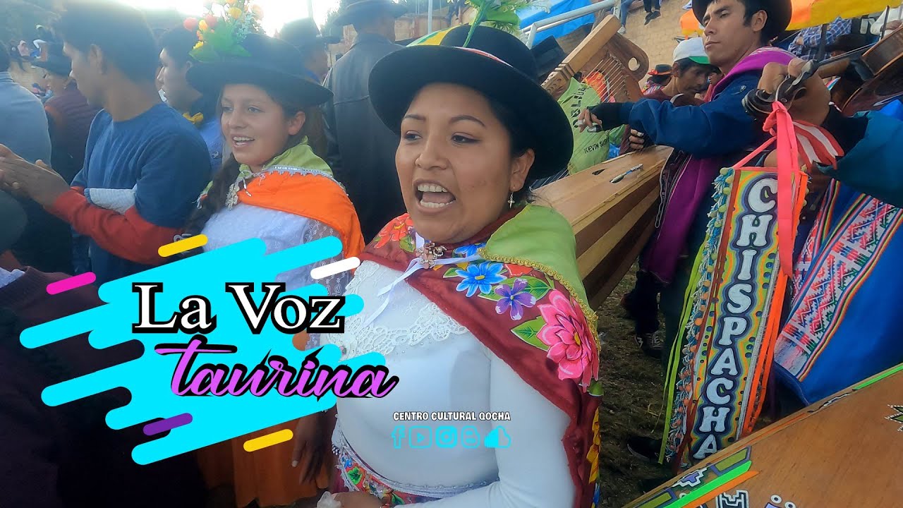 TARDE TAURINA EN VISCHONGO / 15 DE AGOSTO DEL 2023